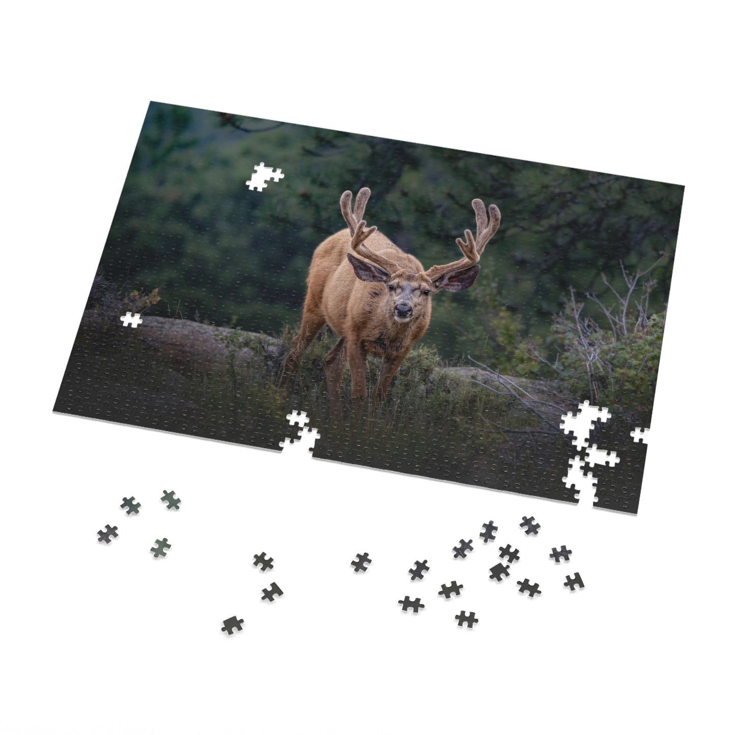 "HIGH ALERT" BUCK MULE DEER - PUZZLE