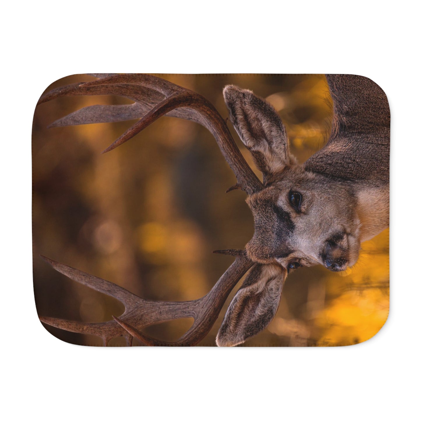 "NOVEMBER GOLD" BUCK MULE DEER - FLEECE BLANKET