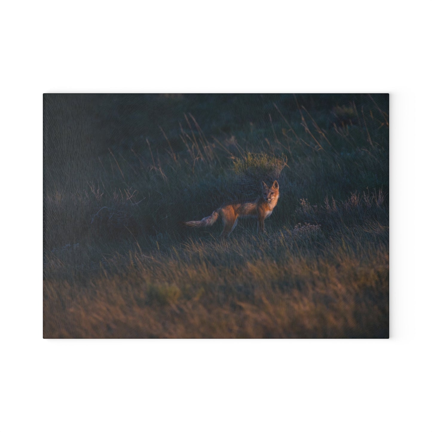 "GOLDEN LIGHT" SWIFT FOX - CUTTING BOARD