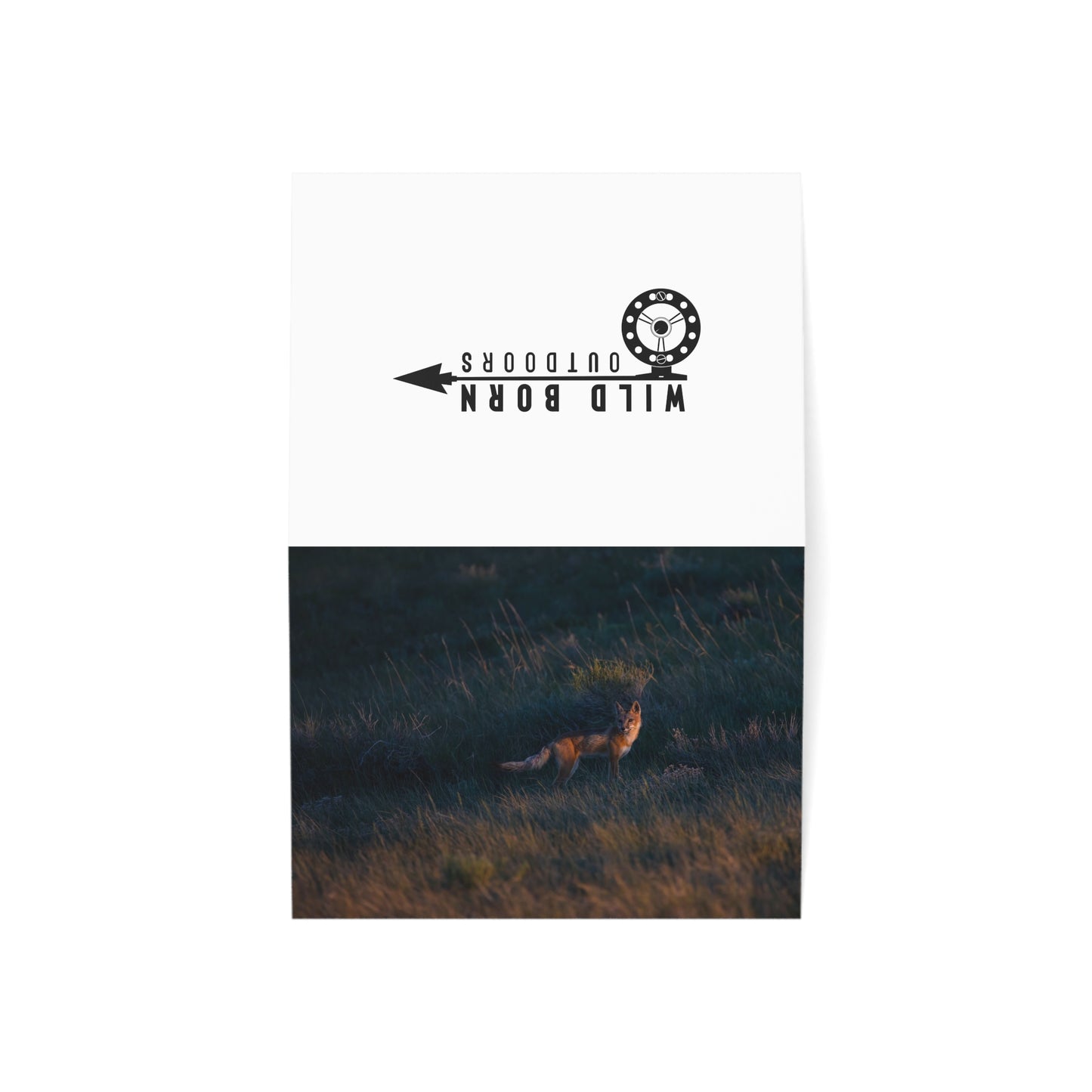 "GOLDEN LIGHT" SWIFT FOX - GREETING CARDS