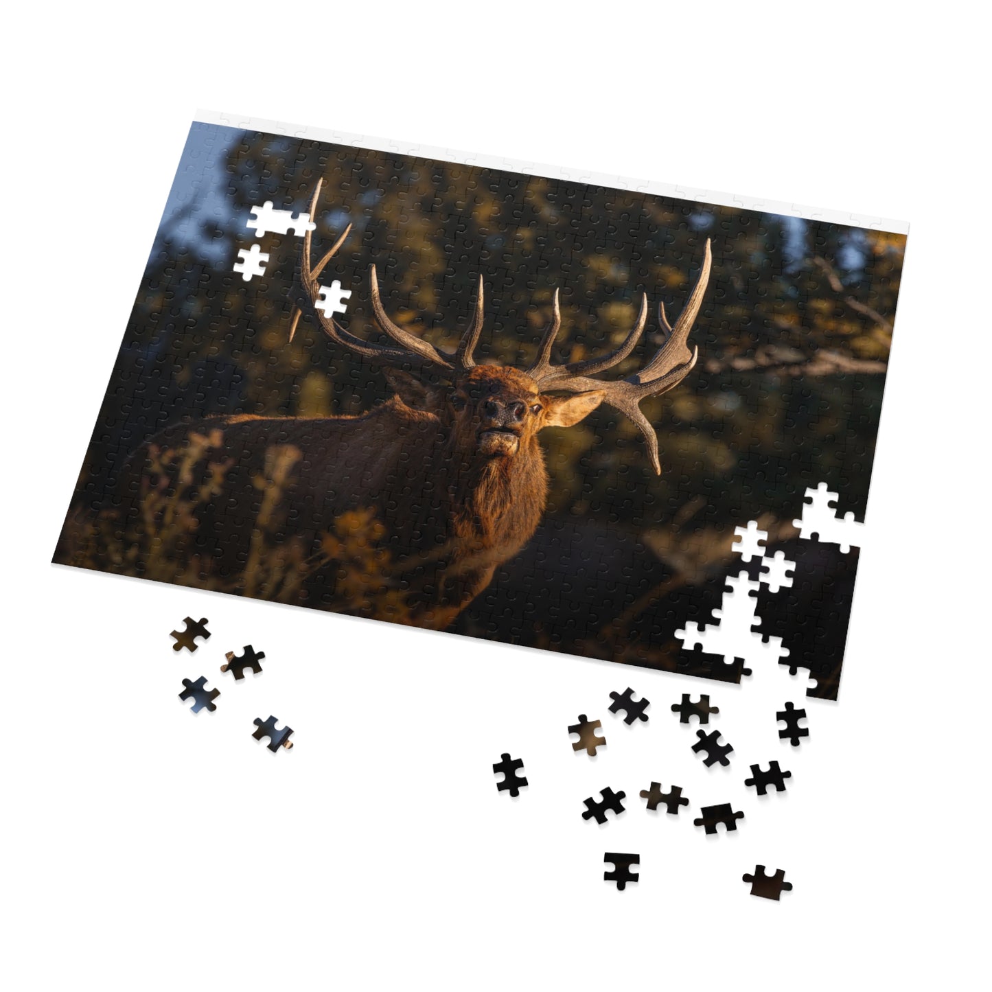 "DROPTINE" BULL ELK - PUZZLE