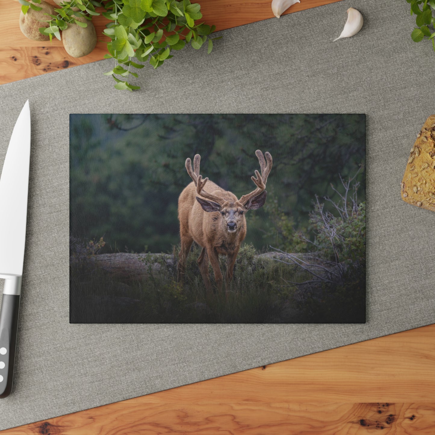 "HIGH ALERT" BUCK MULE DEER - CUTTING BOARD