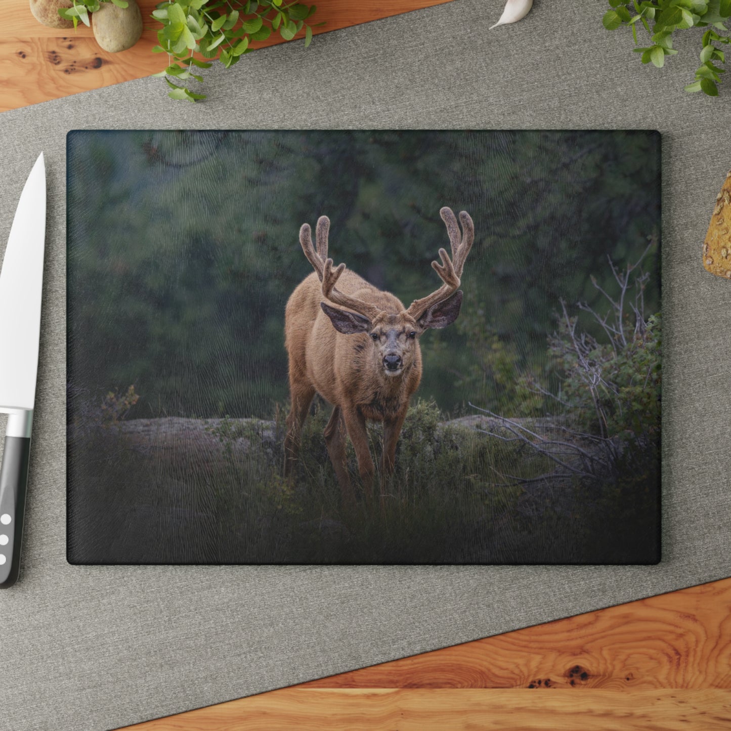 "HIGH ALERT" BUCK MULE DEER - CUTTING BOARD