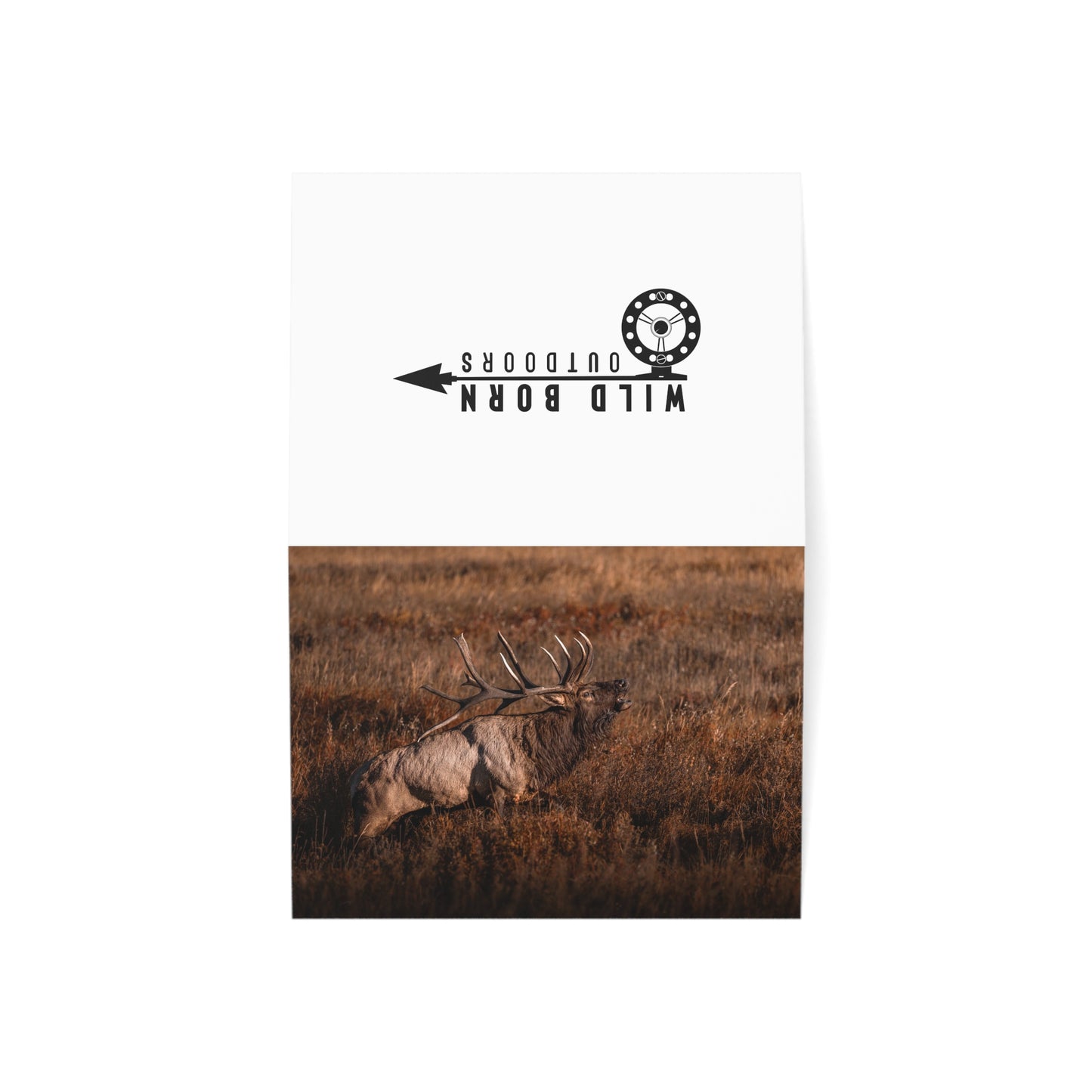 "BUGLE" BULL ELK - GREETING CARDS