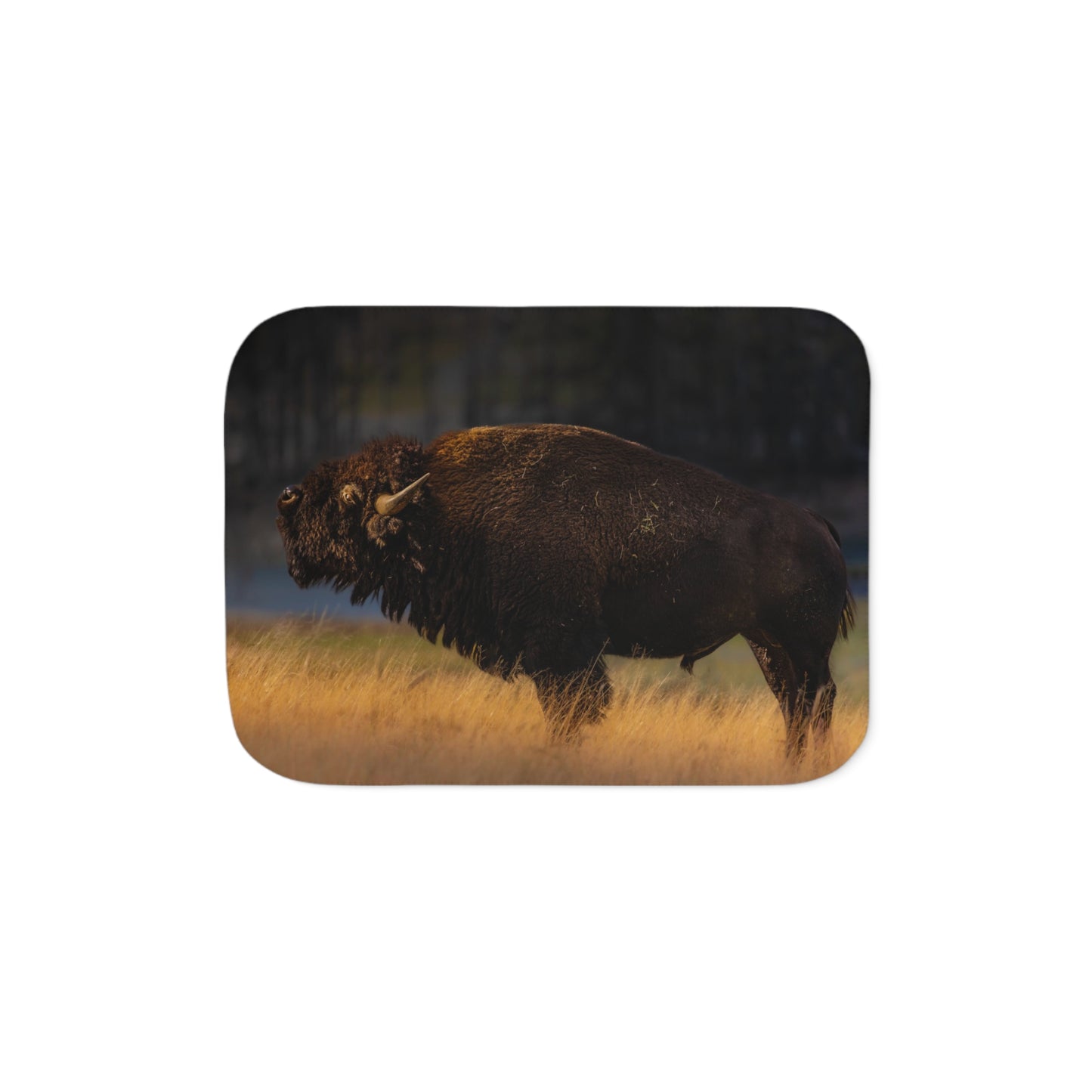 "NATIVE" BISON - FLEECE BLANKET