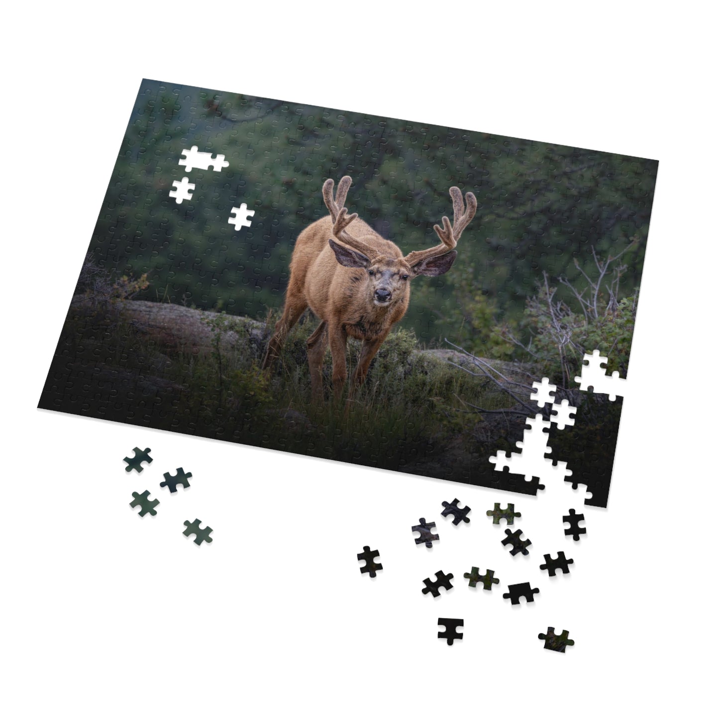 "HIGH ALERT" BUCK MULE DEER - PUZZLE