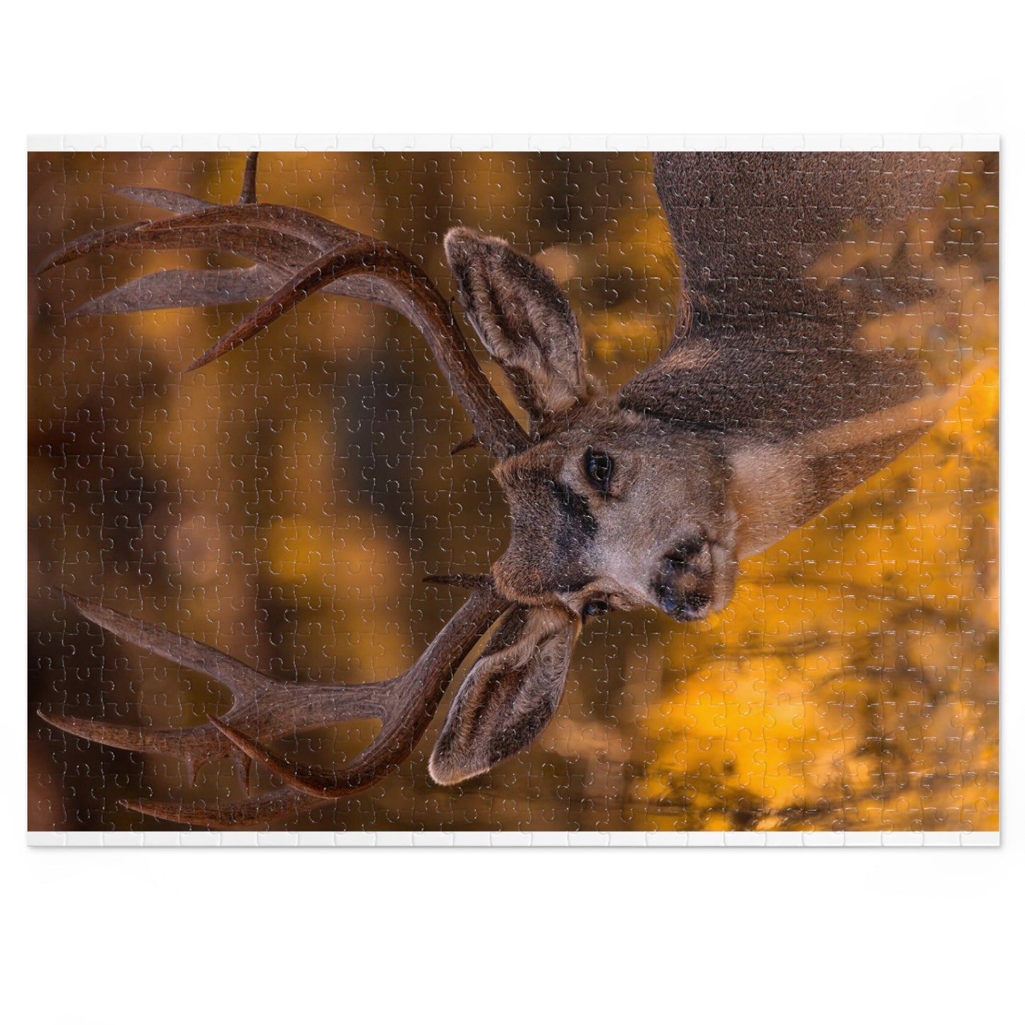 "NOVEMBER GOLD" BUCK MULE DEER - PUZZLE