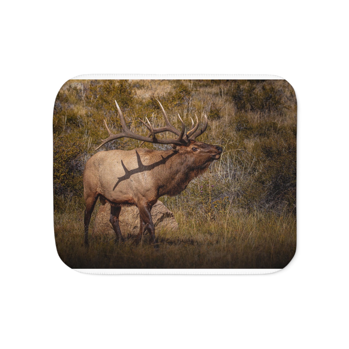 "TATTED" BULL ELK - FLEECE BLANKET