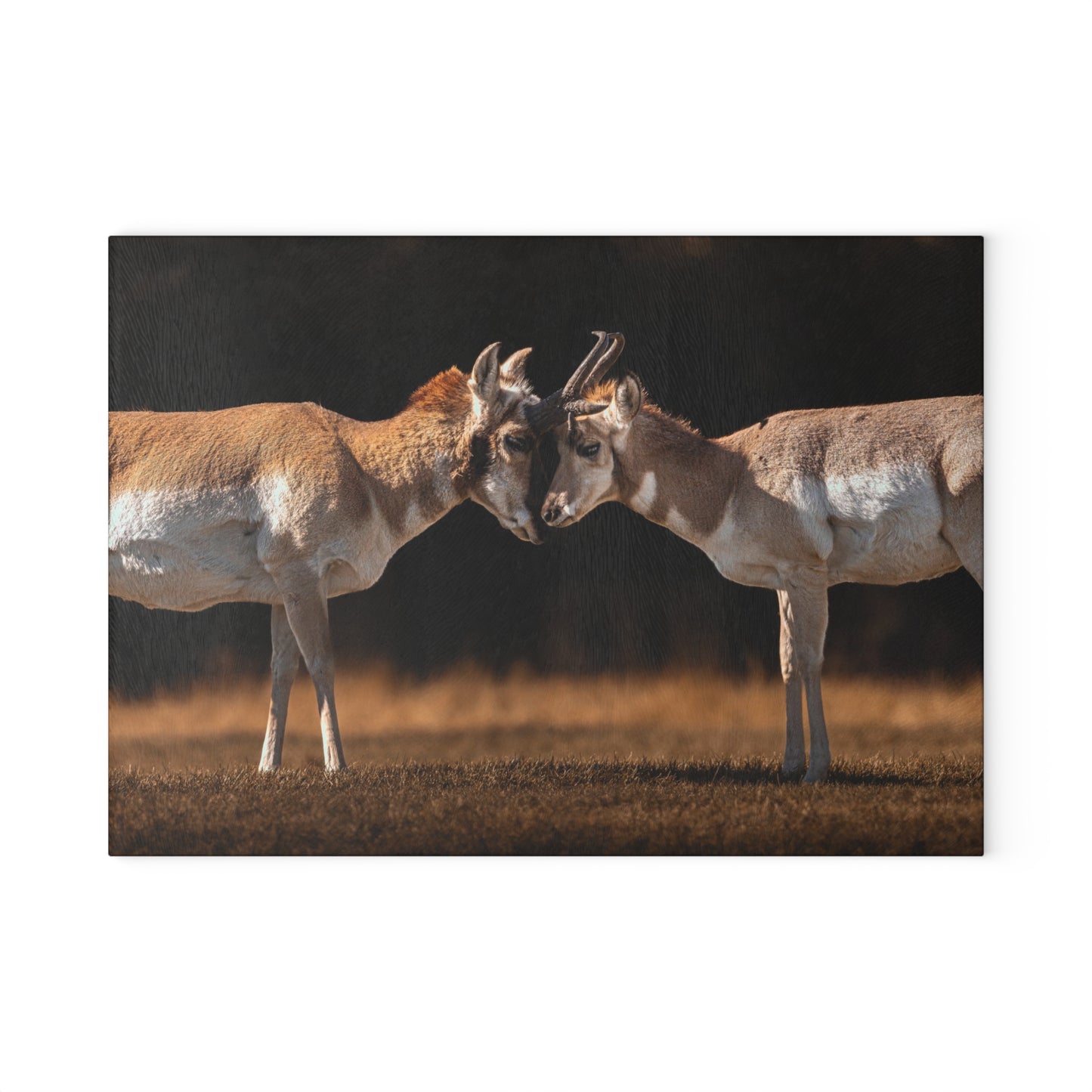 "LOVE OF A PRONGHORN" PRONGHORN - CUTTING BOARD