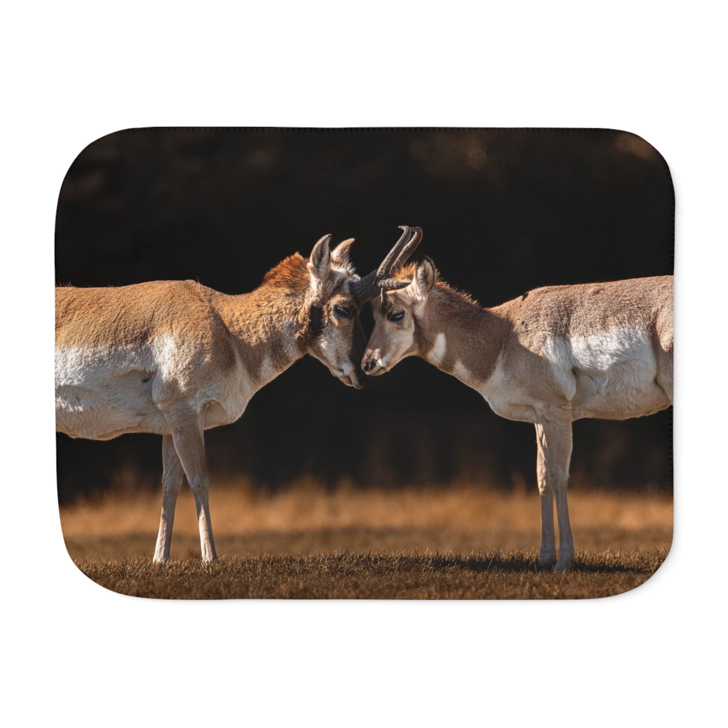 "LOVE OF A PRONGHORN" PRONGHORN - FLEECE BLANKET