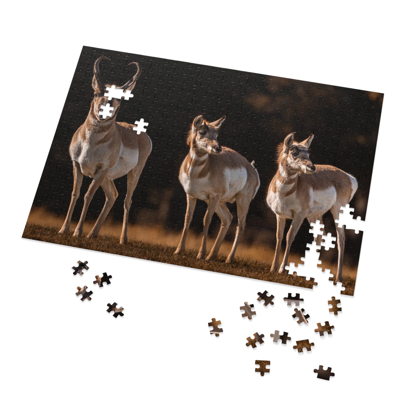 "FAMILY OF THREE" PRONGHORN - PUZZLE