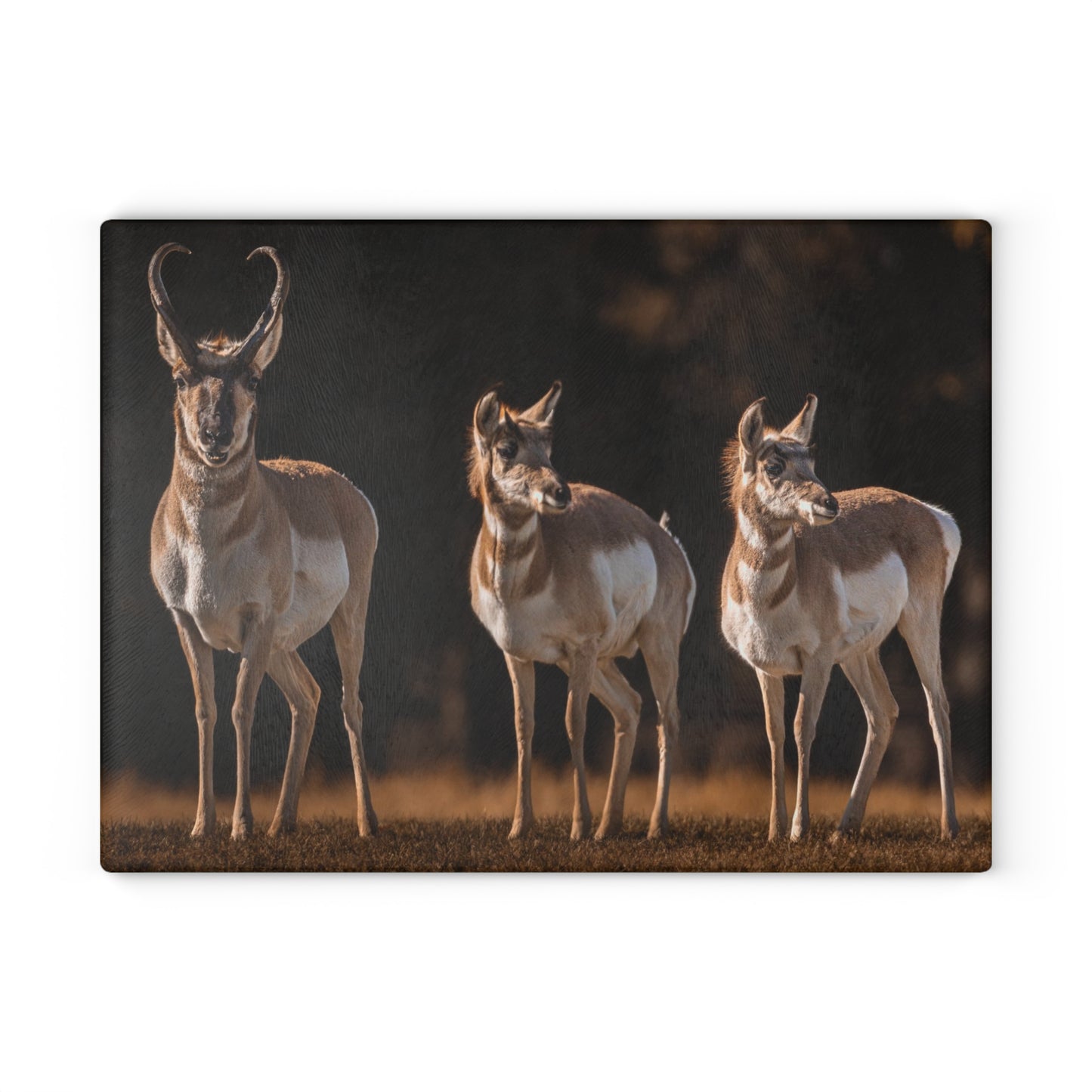 "FAMILY OF THREE" PRONGHORN - CUTTING BOARD