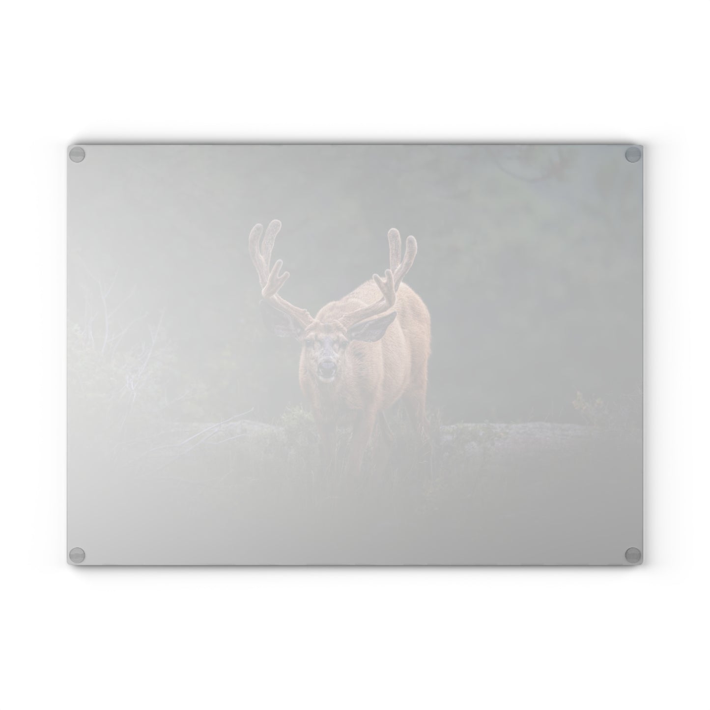 "HIGH ALERT" BUCK MULE DEER - CUTTING BOARD