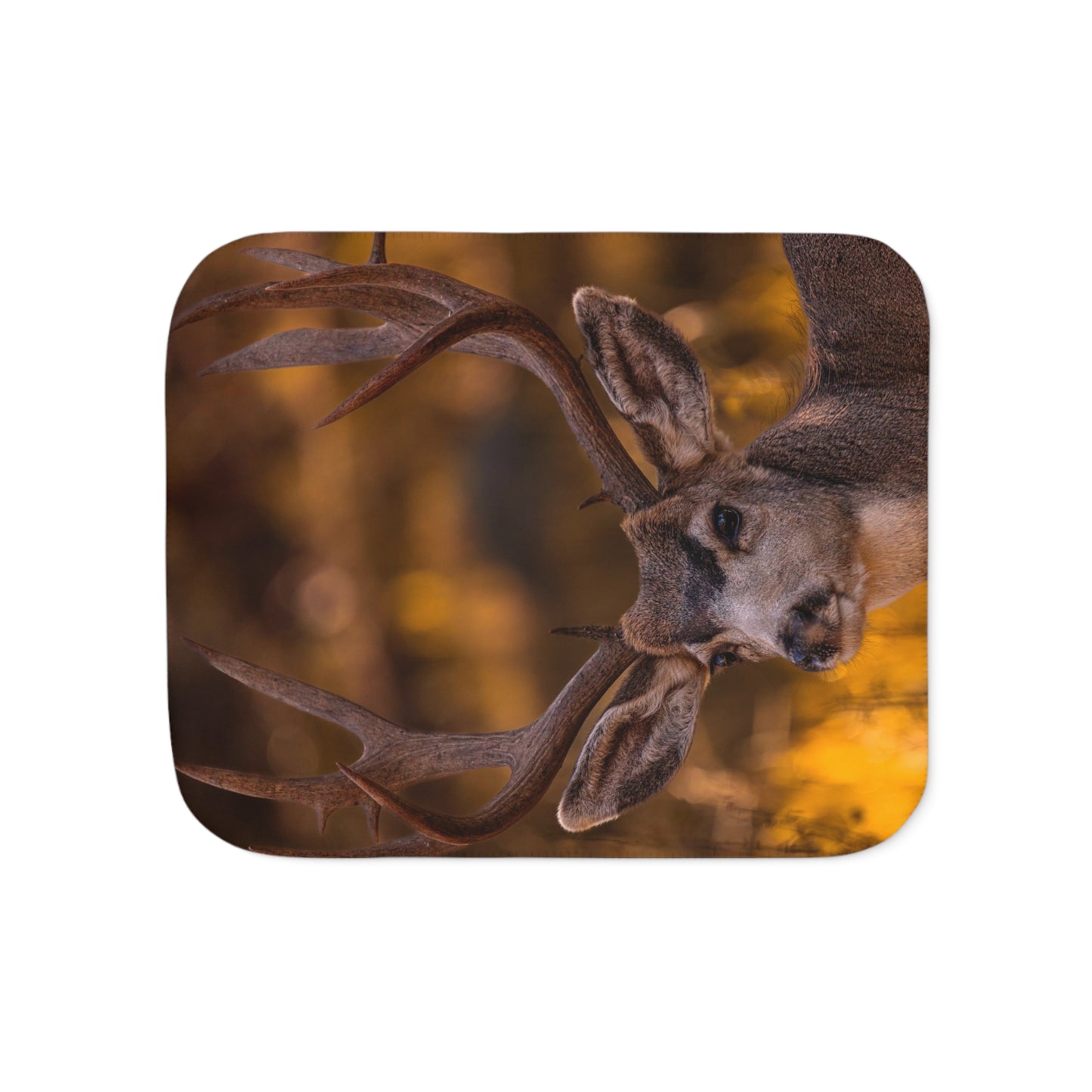 "NOVEMBER GOLD" BUCK MULE DEER - FLEECE BLANKET