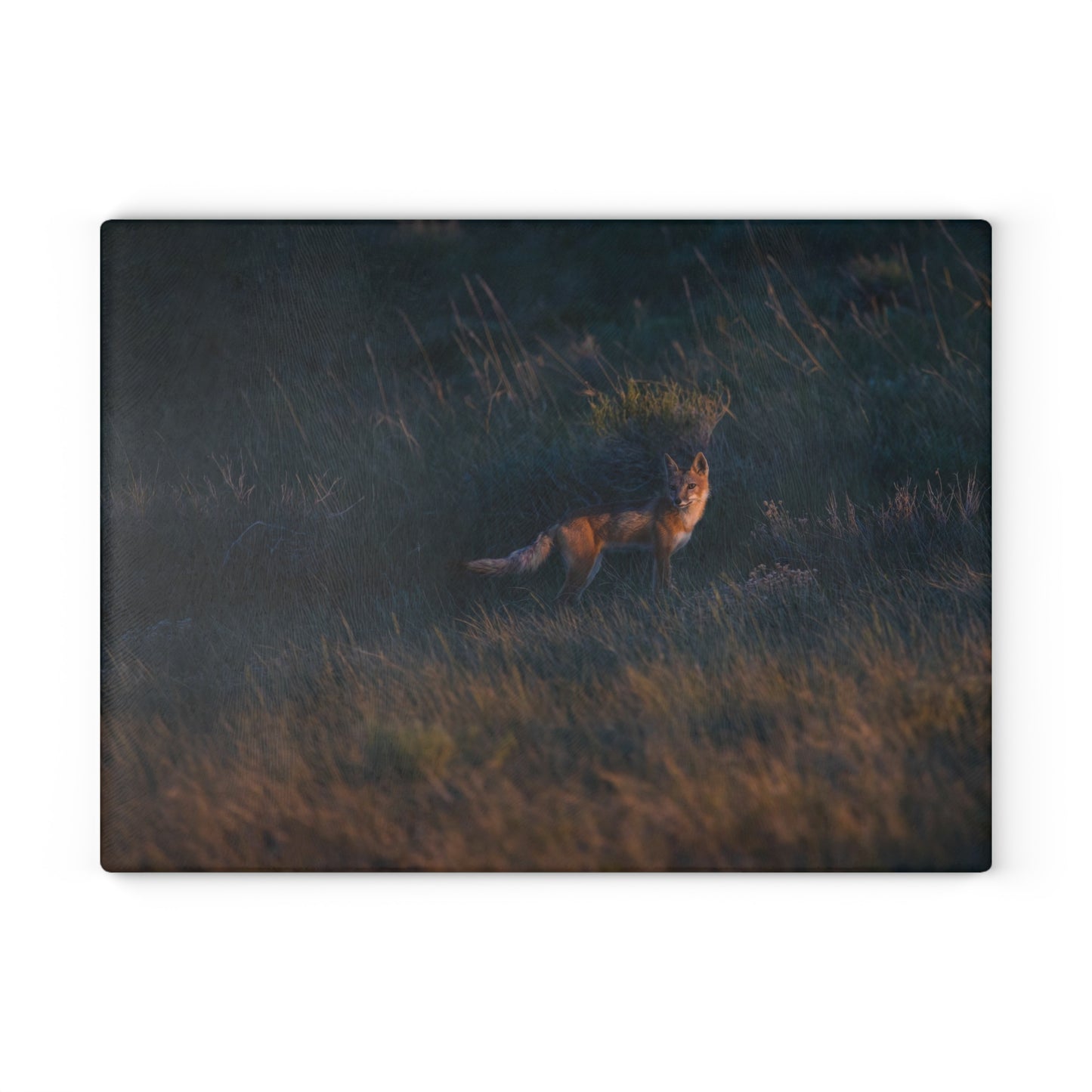 "GOLDEN LIGHT" SWIFT FOX - CUTTING BOARD