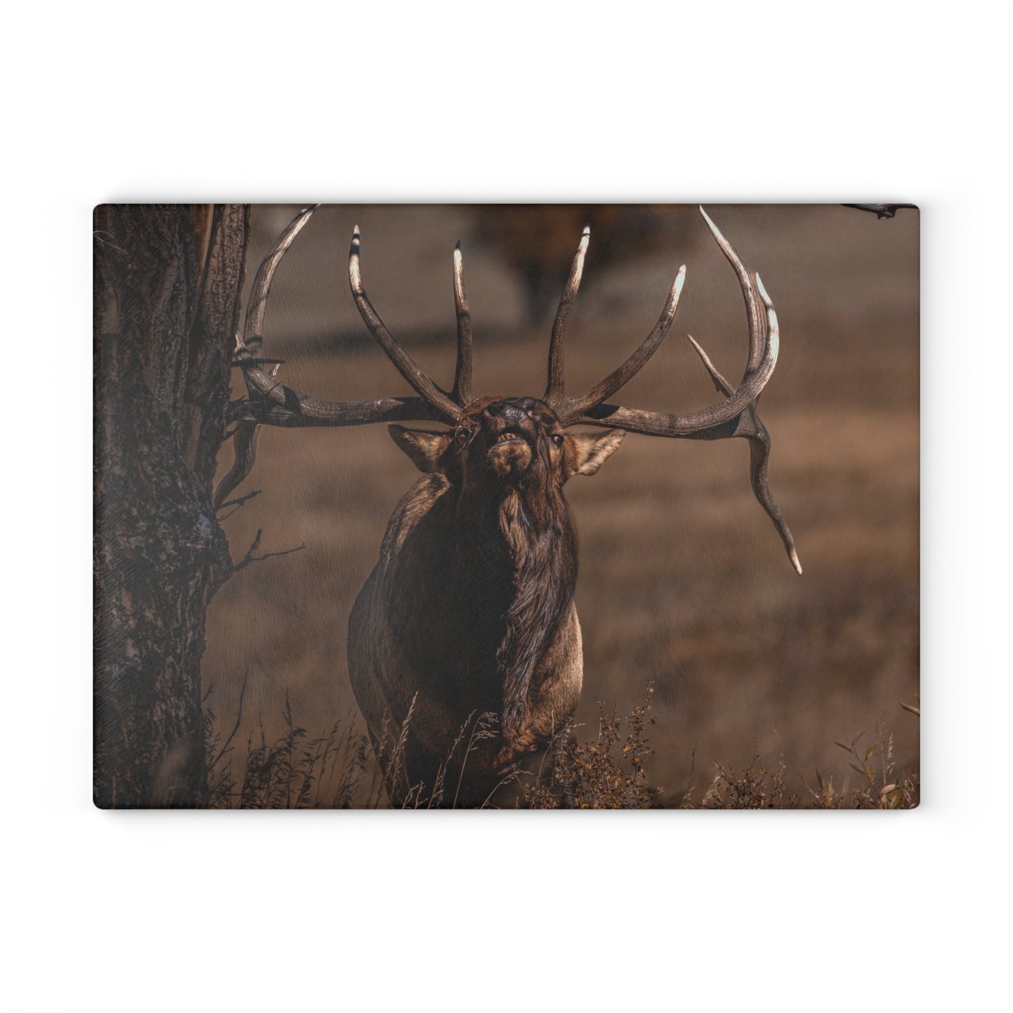 "ATTITUDE" BULL ELK - CUTTING BOARD