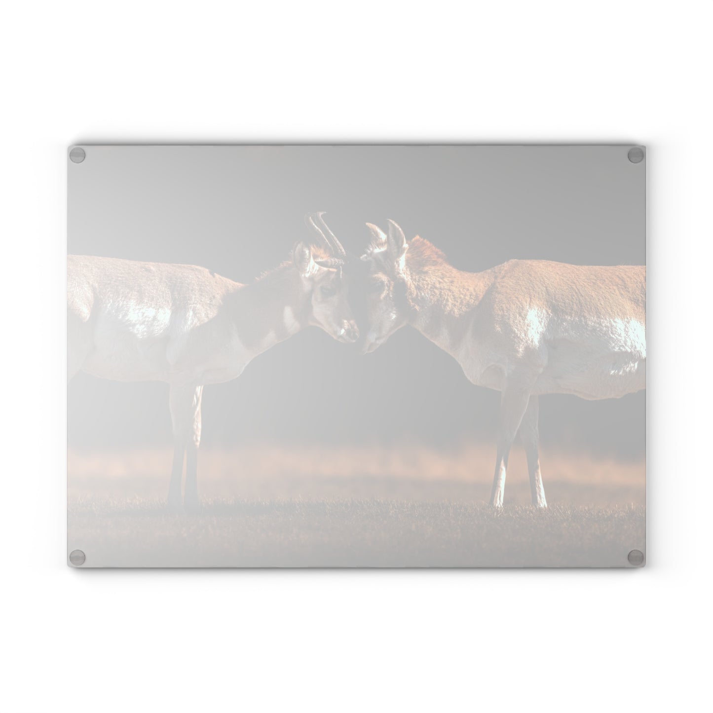 "LOVE OF A PRONGHORN" PRONGHORN - CUTTING BOARD