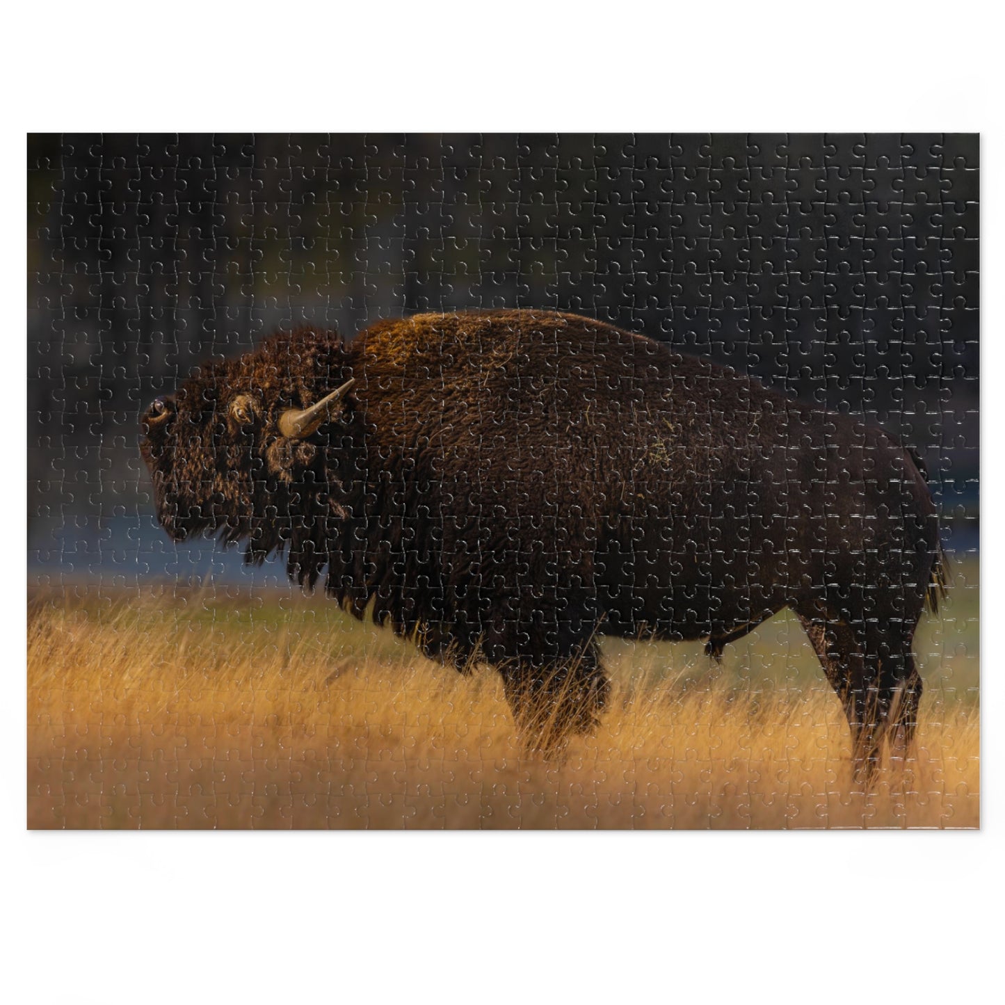 "NATIVE" BISON - PUZZLE