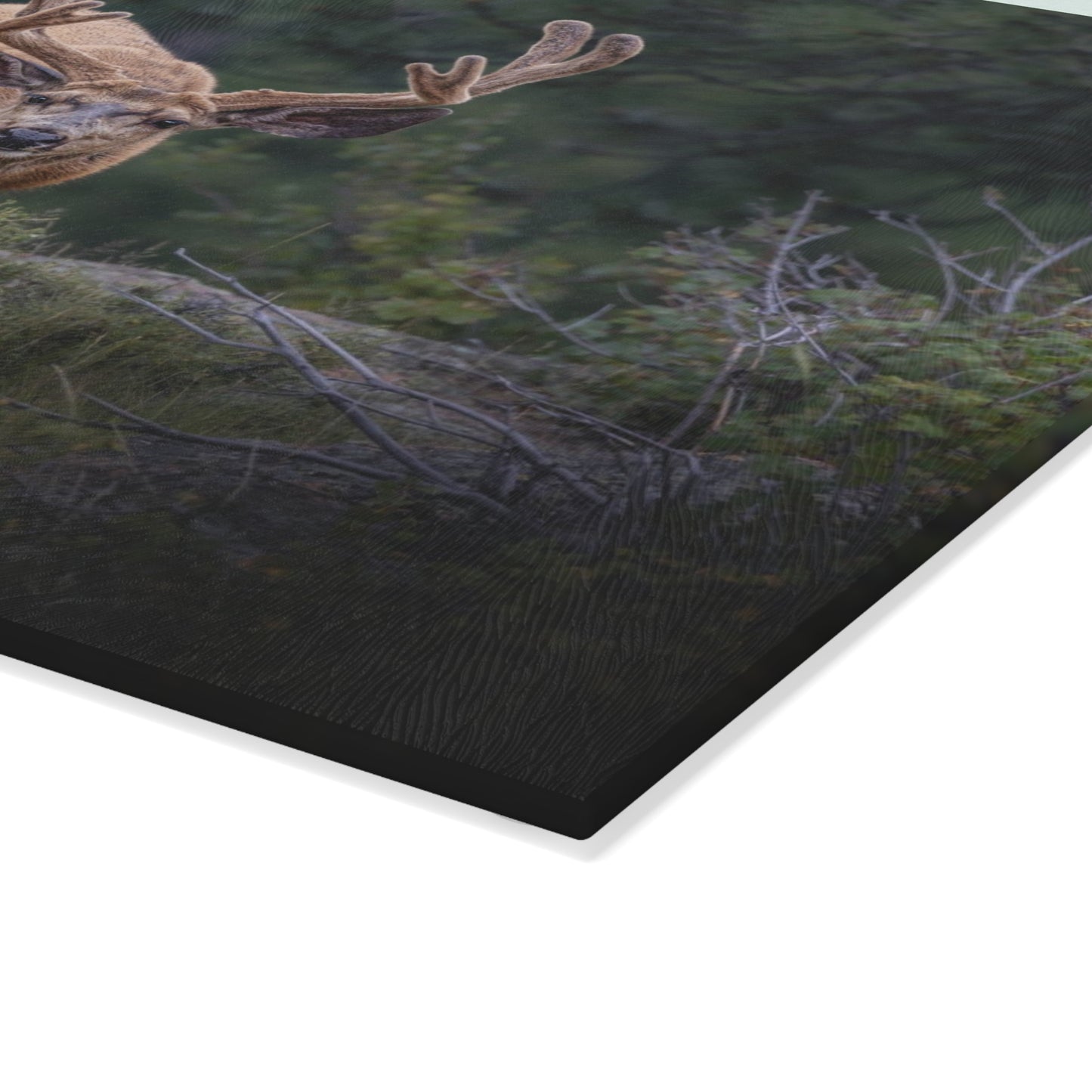 "HIGH ALERT" BUCK MULE DEER - CUTTING BOARD