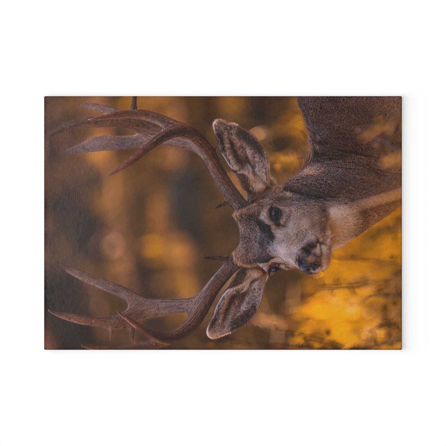 "NOVEMBER GOLD" BUCK MULE DEER - CUTTING BOARD