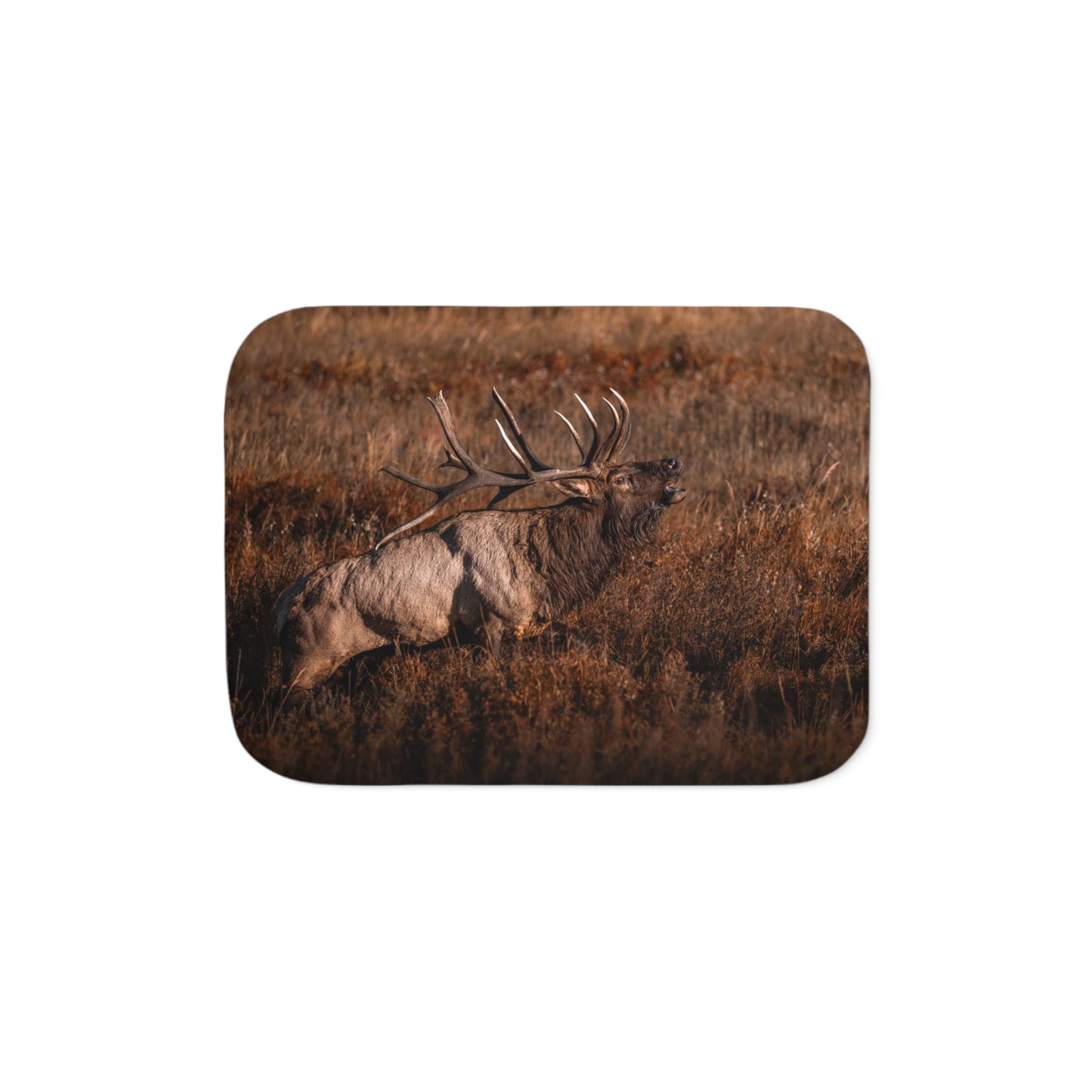 "BUGLE" BULL ELK - FLEECE BLANKET