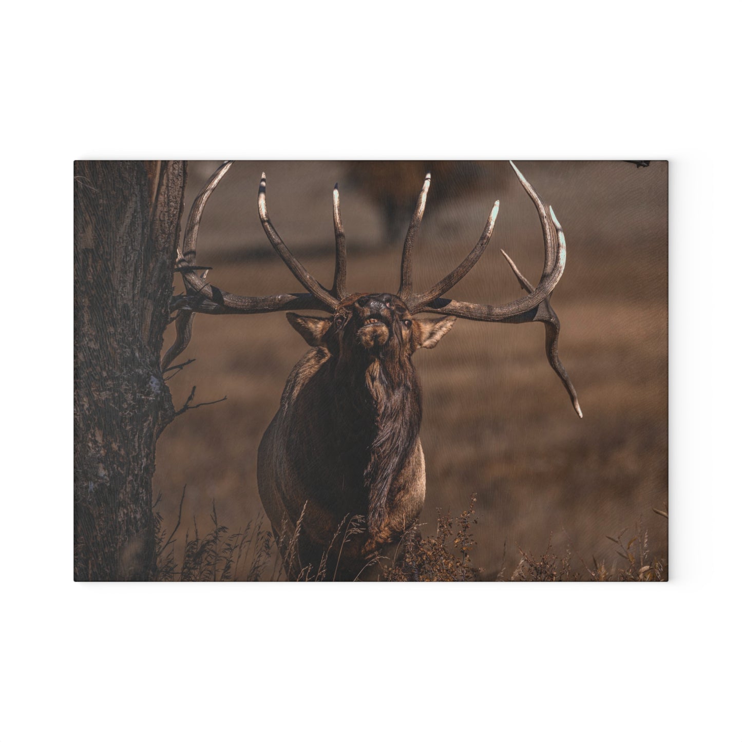 "ATTITUDE" BULL ELK - CUTTING BOARD