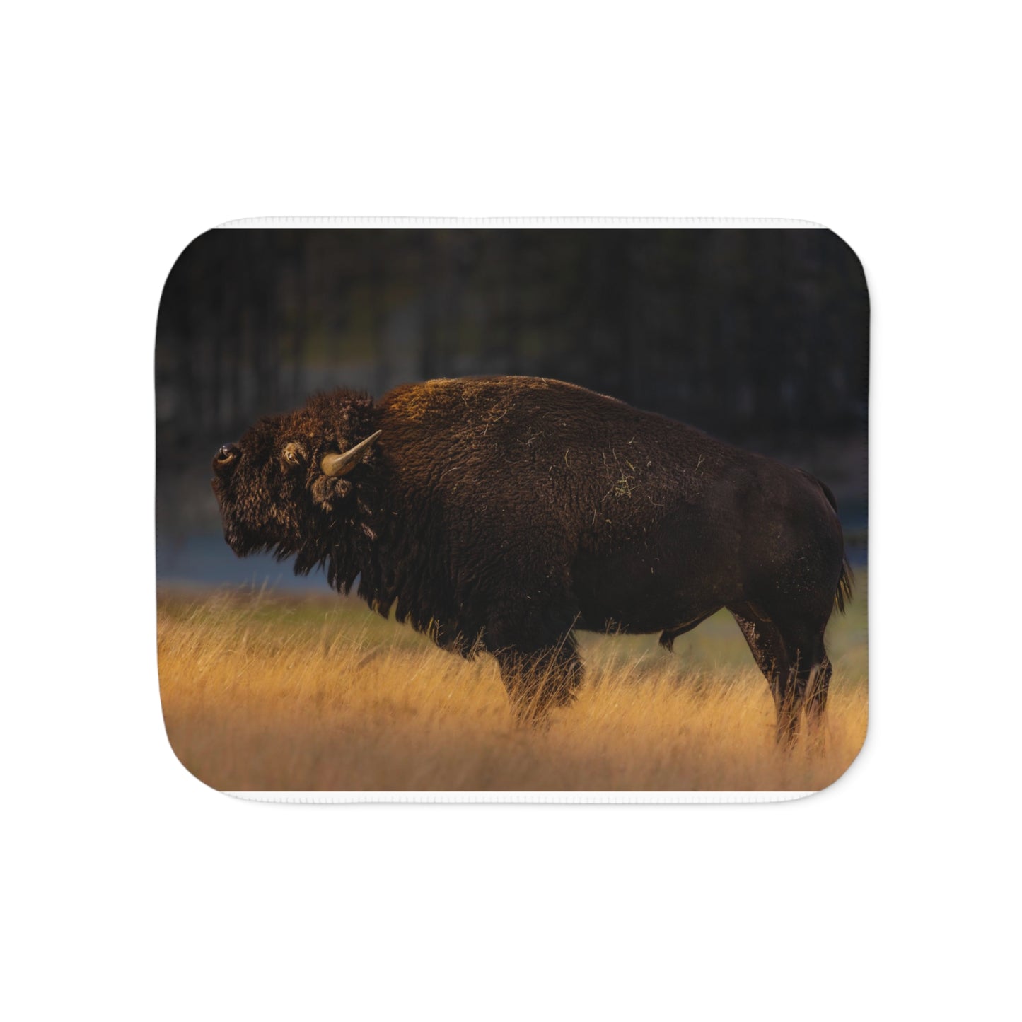 "NATIVE" BISON - FLEECE BLANKET