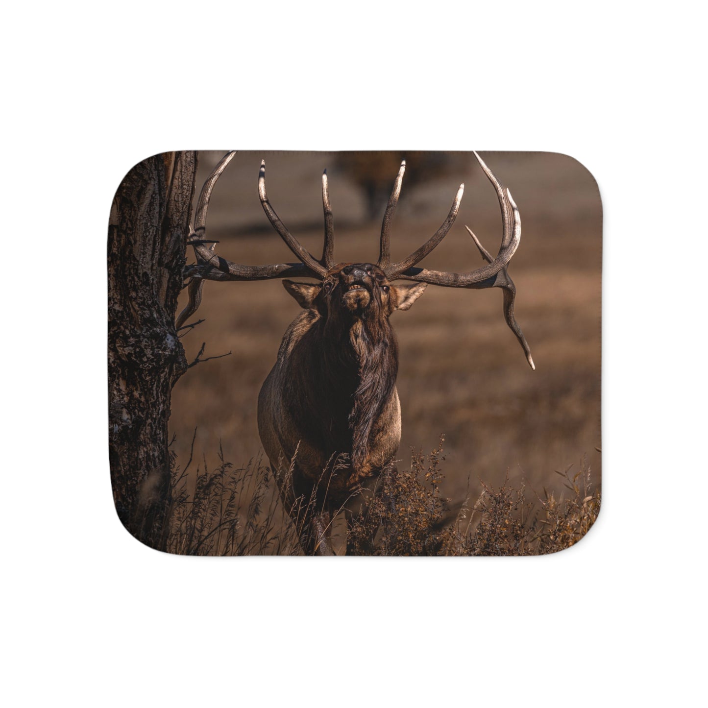 "ATTITUDE" BULL ELK - FLEECE BLANKET