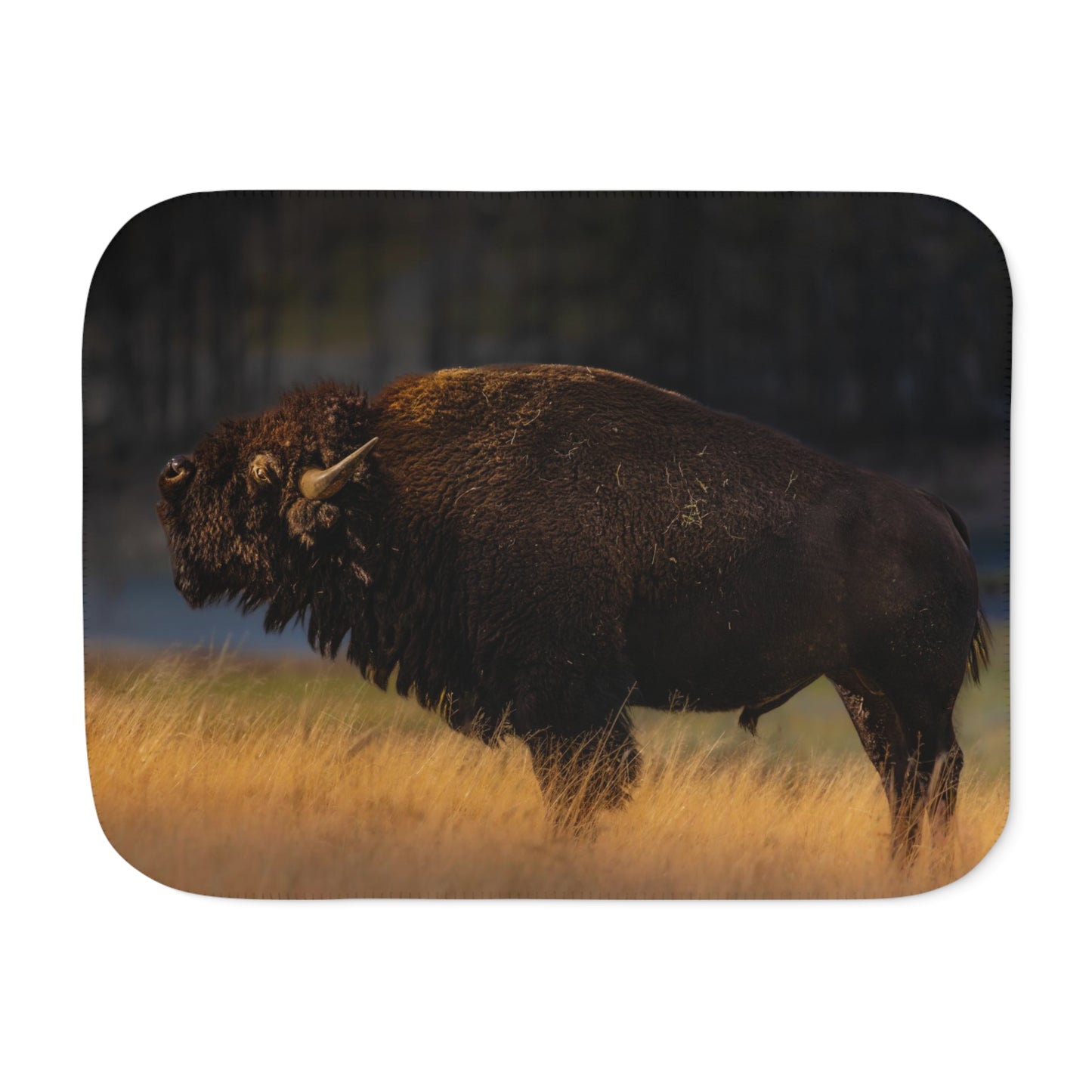 "NATIVE" BISON - FLEECE BLANKET