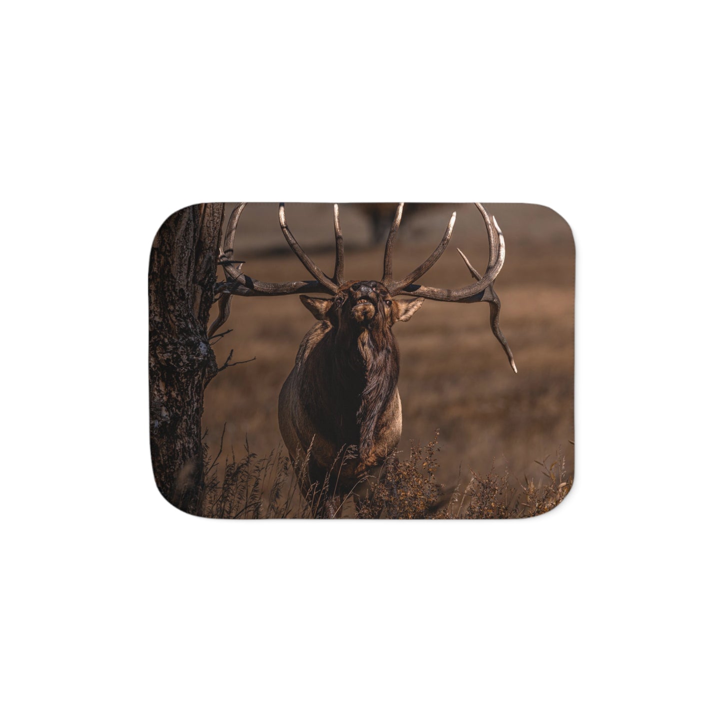 "ATTITUDE" BULL ELK - FLEECE BLANKET