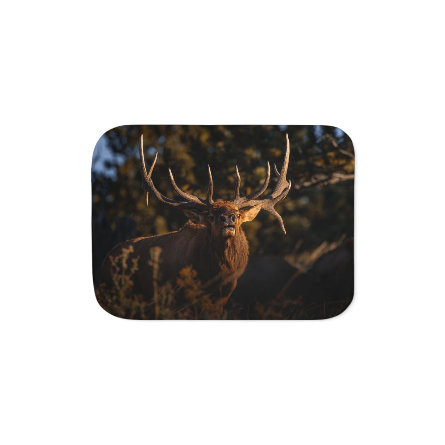 "DROPTINE" BULL ELK - FLEECE BLANKET