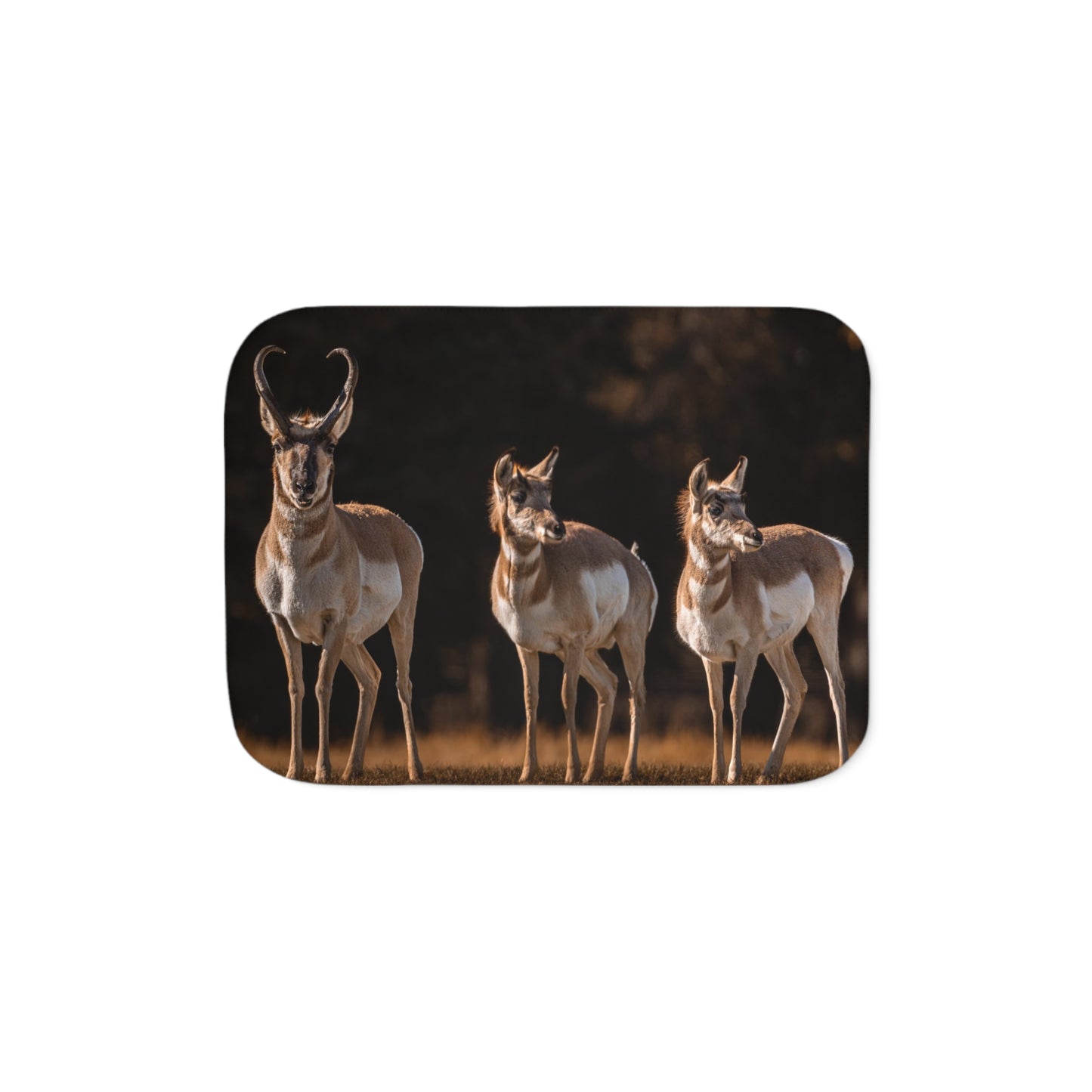 "FAMILY OF THREE" PRONGHORN - FLEECE BLANKET