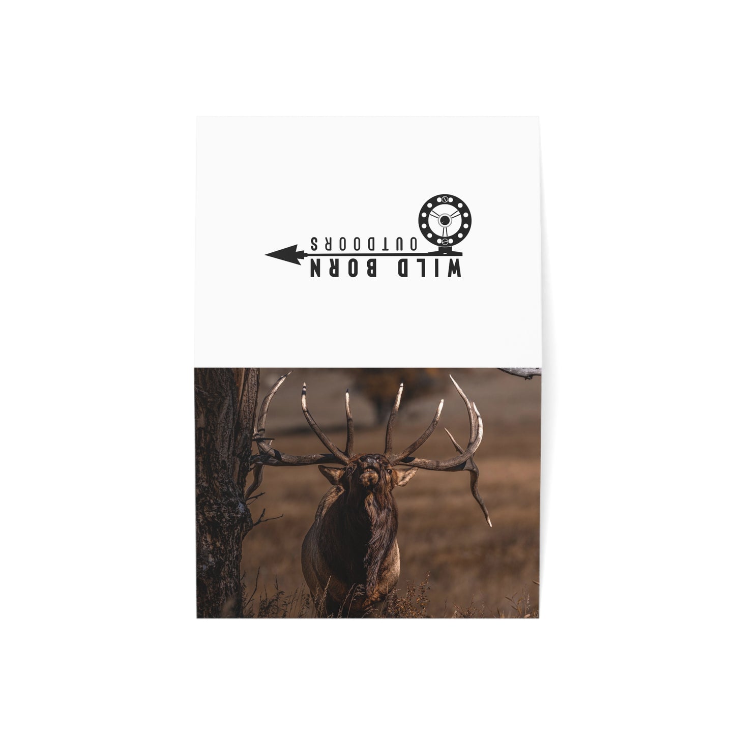 "ATTITUDE" BULL ELK - GREETING CARDS