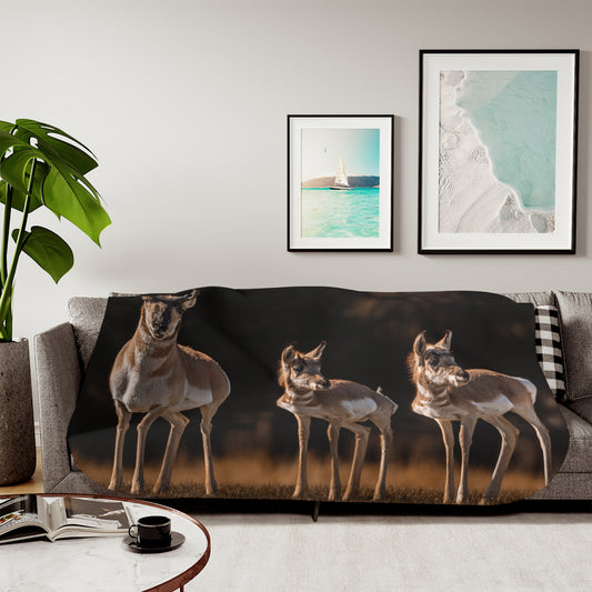 "FAMILY OF THREE" PRONGHORN - FLEECE BLANKET