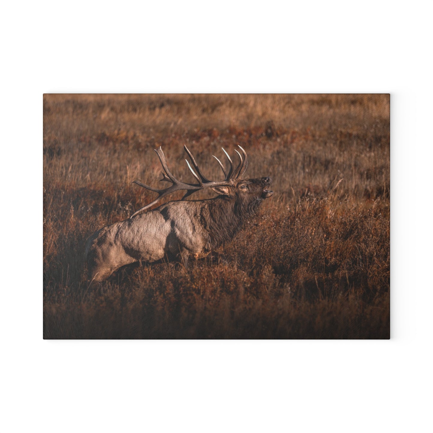 "BUGLE" BULL ELK - CUTTING BOARD