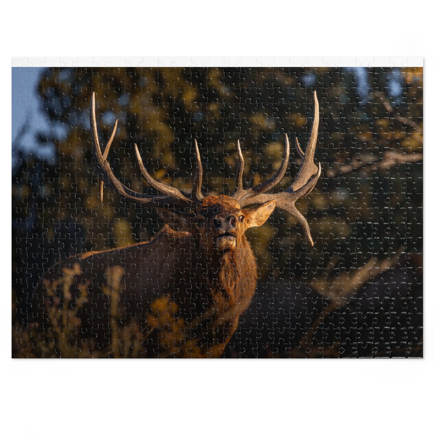 "DROPTINE" BULL ELK - PUZZLE