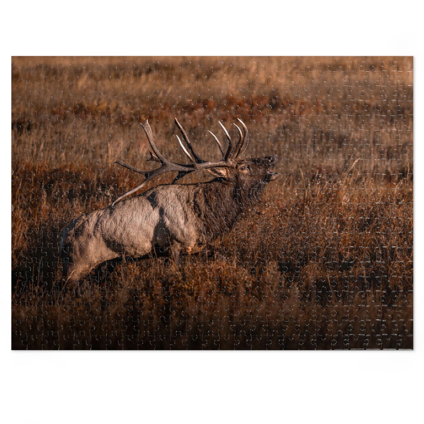 "BUGLE" BULL ELK - PUZZLE