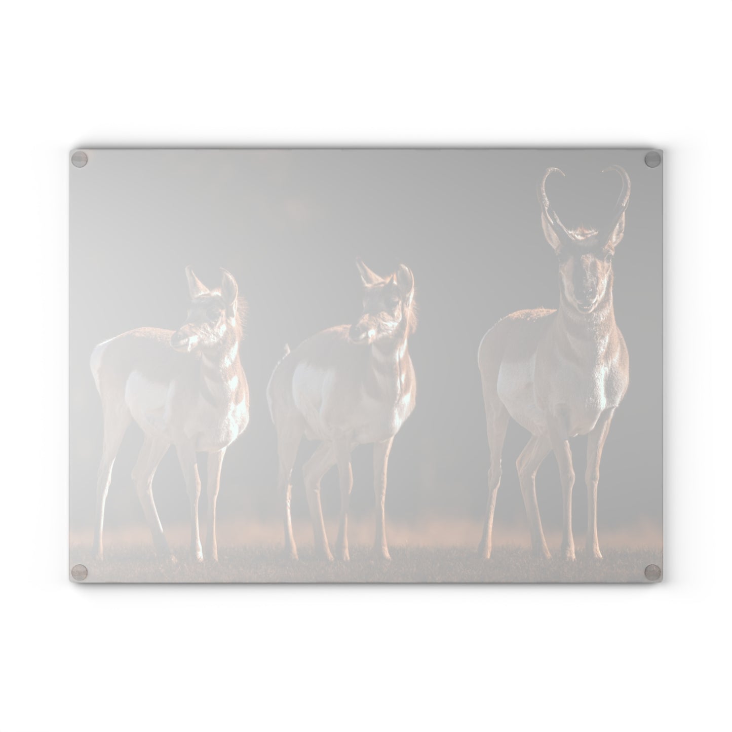 "FAMILY OF THREE" PRONGHORN - CUTTING BOARD