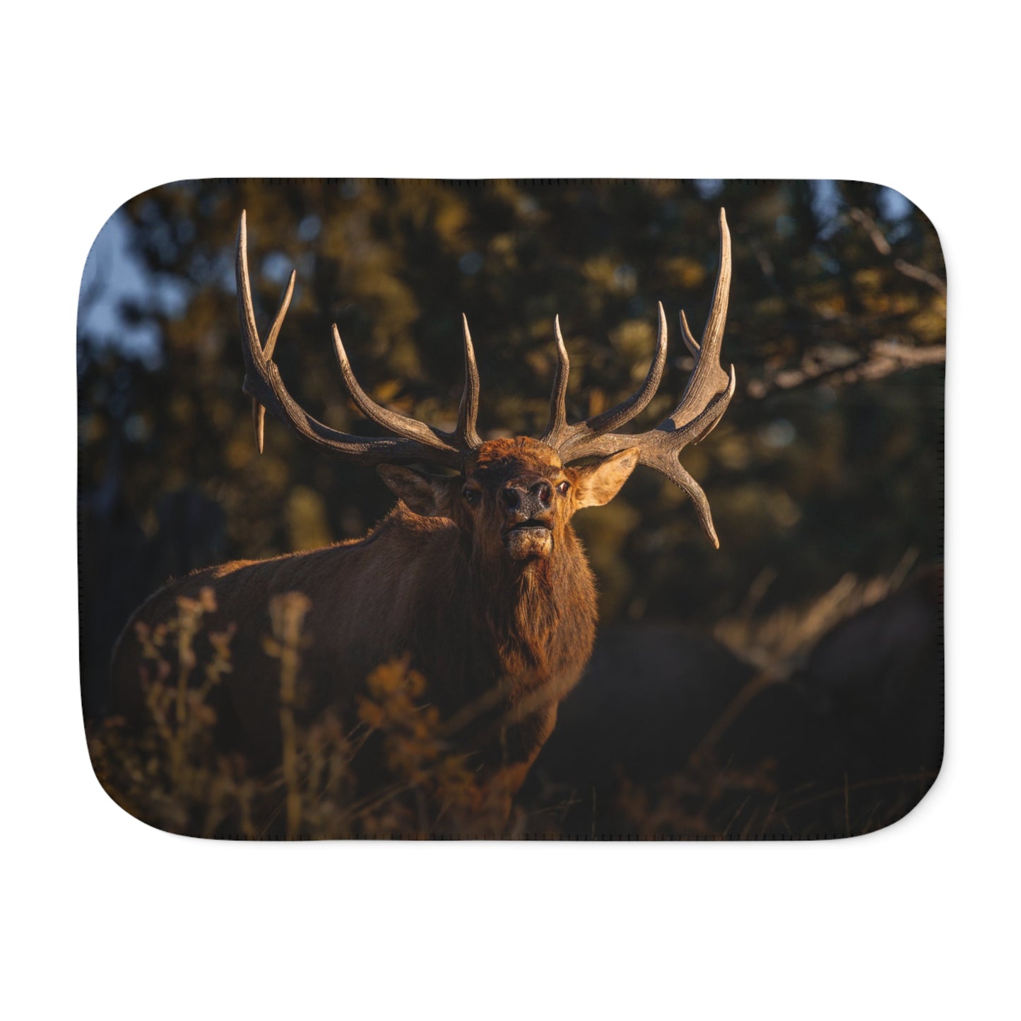 "DROPTINE" BULL ELK - FLEECE BLANKET