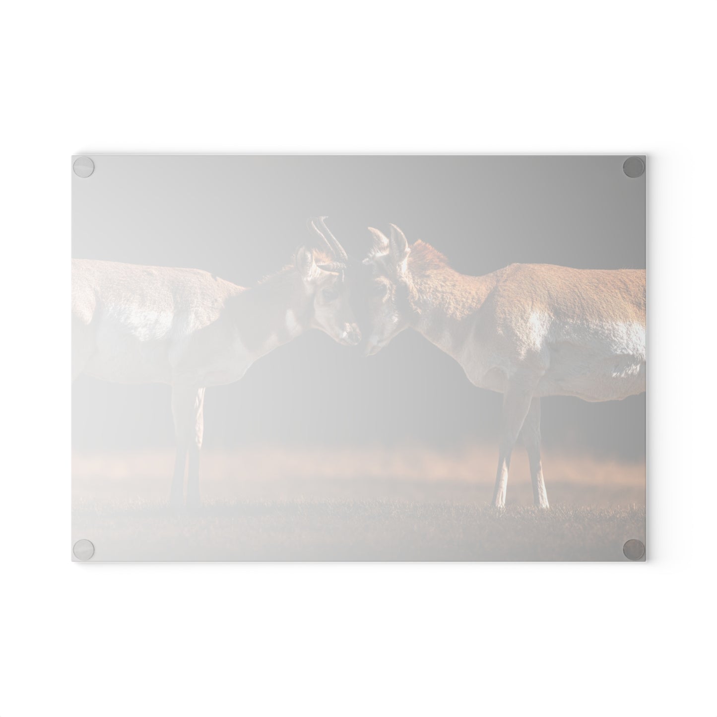 "LOVE OF A PRONGHORN" PRONGHORN - CUTTING BOARD