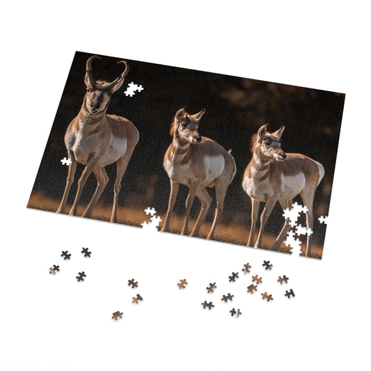 "FAMILY OF THREE" PRONGHORN - PUZZLE