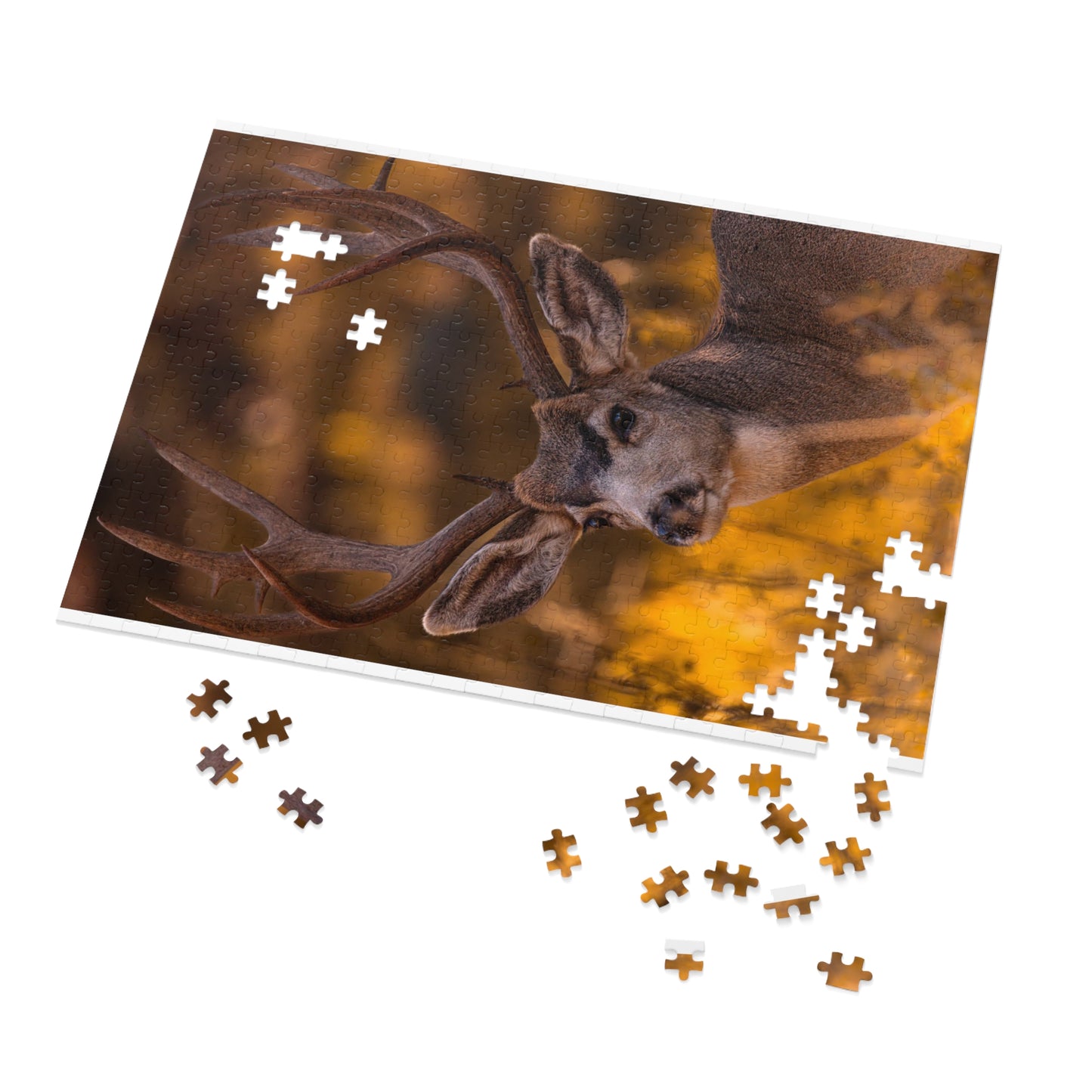 "NOVEMBER GOLD" BUCK MULE DEER - PUZZLE