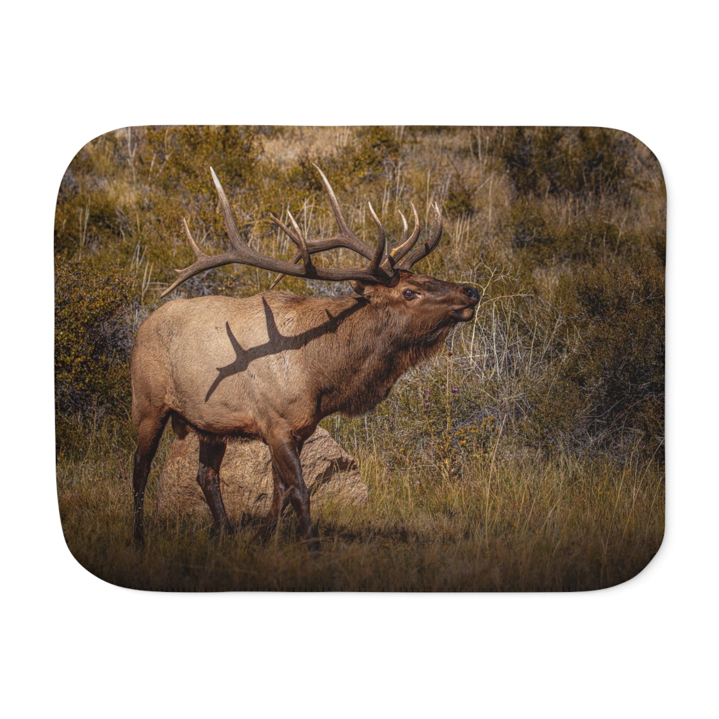 "TATTED" BULL ELK - FLEECE BLANKET