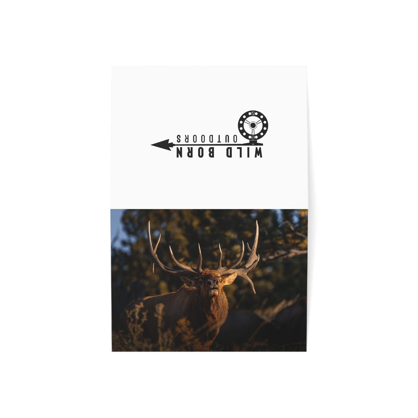 "DROPTINE" BULL ELK - GREETING CARDS