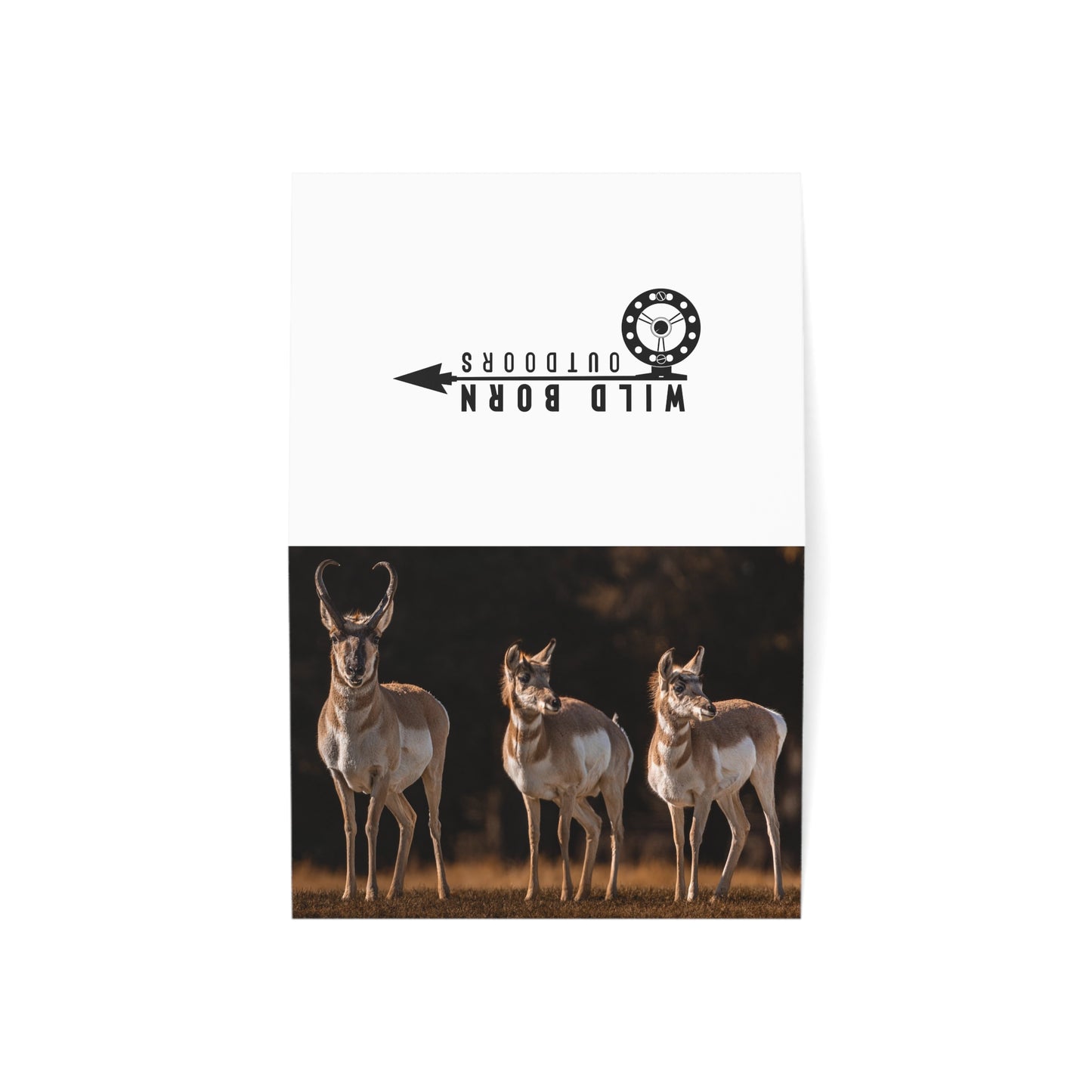 "FAMILY OF THREE" PRONGHORN - GREETING CARDS