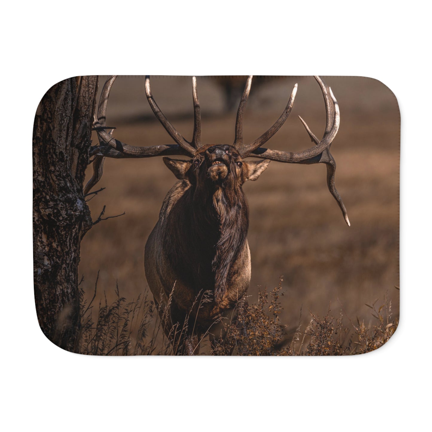 "ATTITUDE" BULL ELK - FLEECE BLANKET