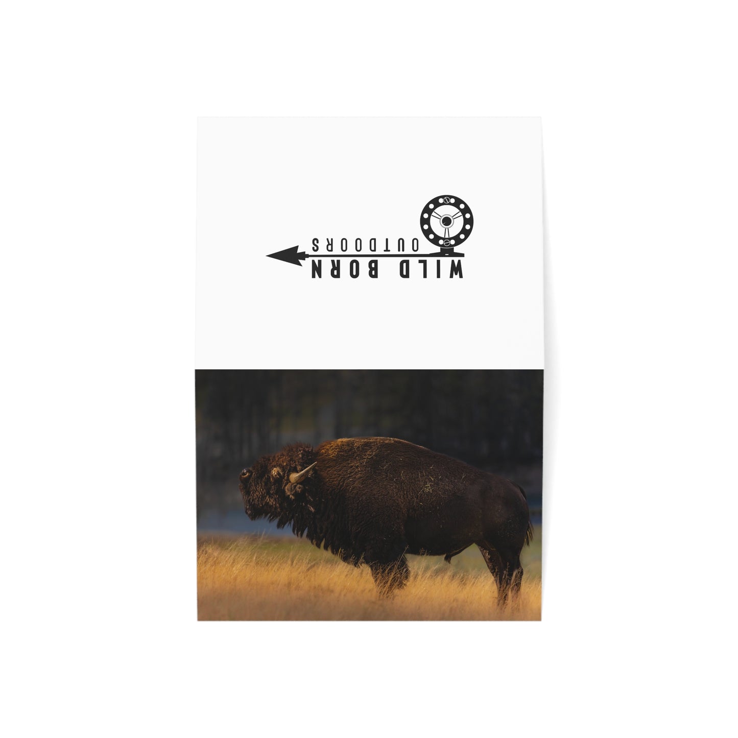 "NATIVE" BISON - GREETING CARDS