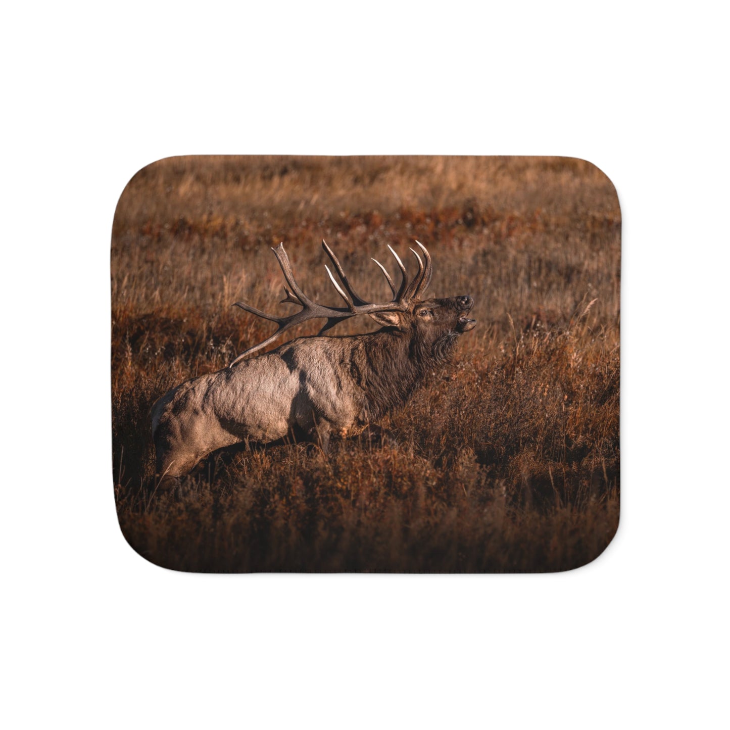 "BUGLE" BULL ELK - FLEECE BLANKET