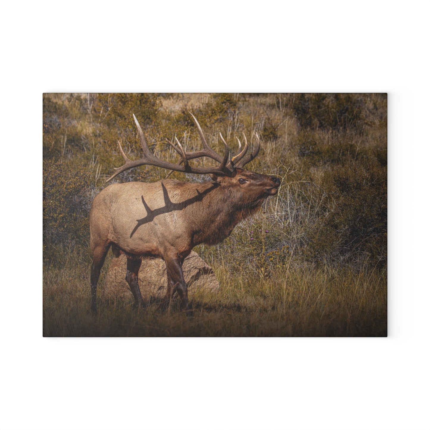 "TATTED" BULL ELK CUTTING BOARD