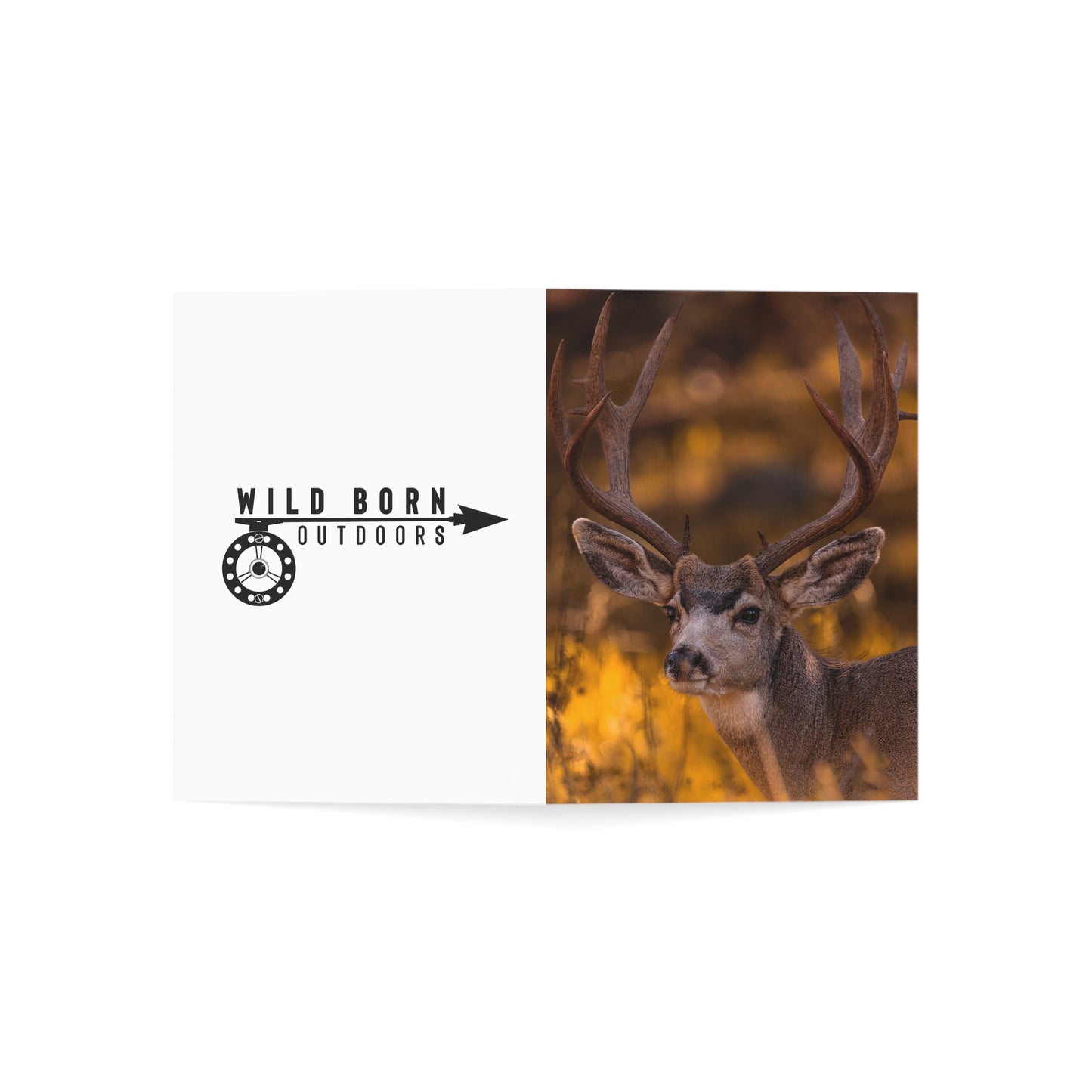 "NOVEMBER GOLD" BUCK MULE DEER - GREETING CARDS